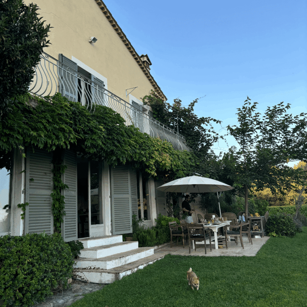 Dog-friendly Airbnb in France what it’s like travelling with a dog from Ireland to Europe