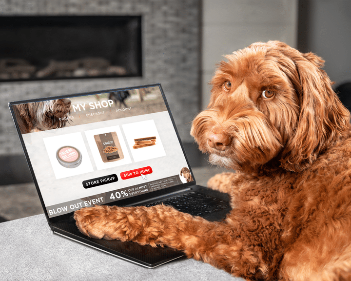Exclusively Online Stores