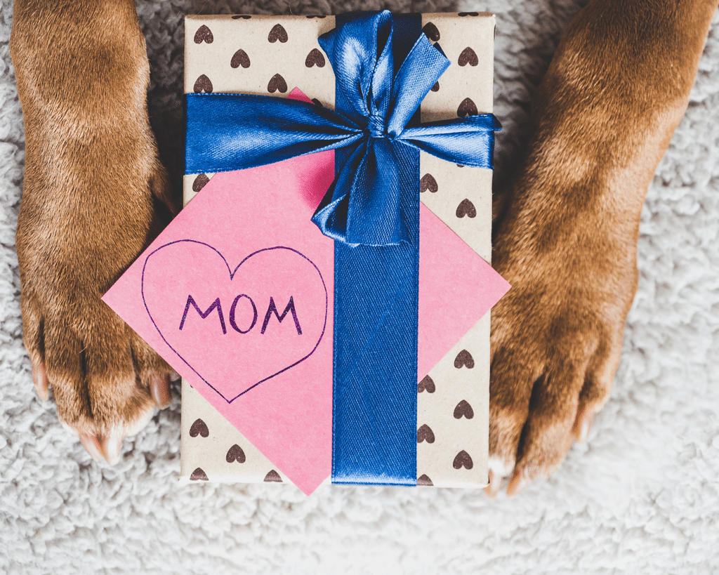 Personalised Dog Gifts