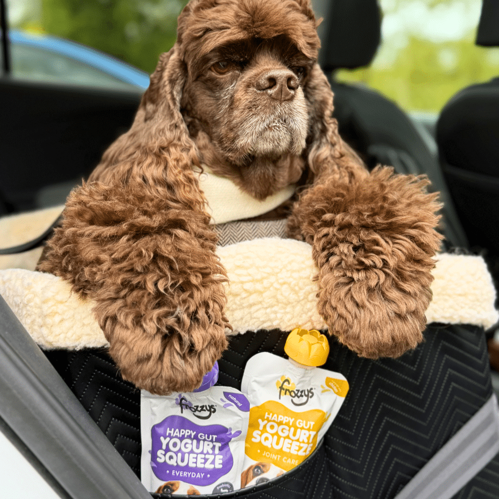 Best Bark partnership