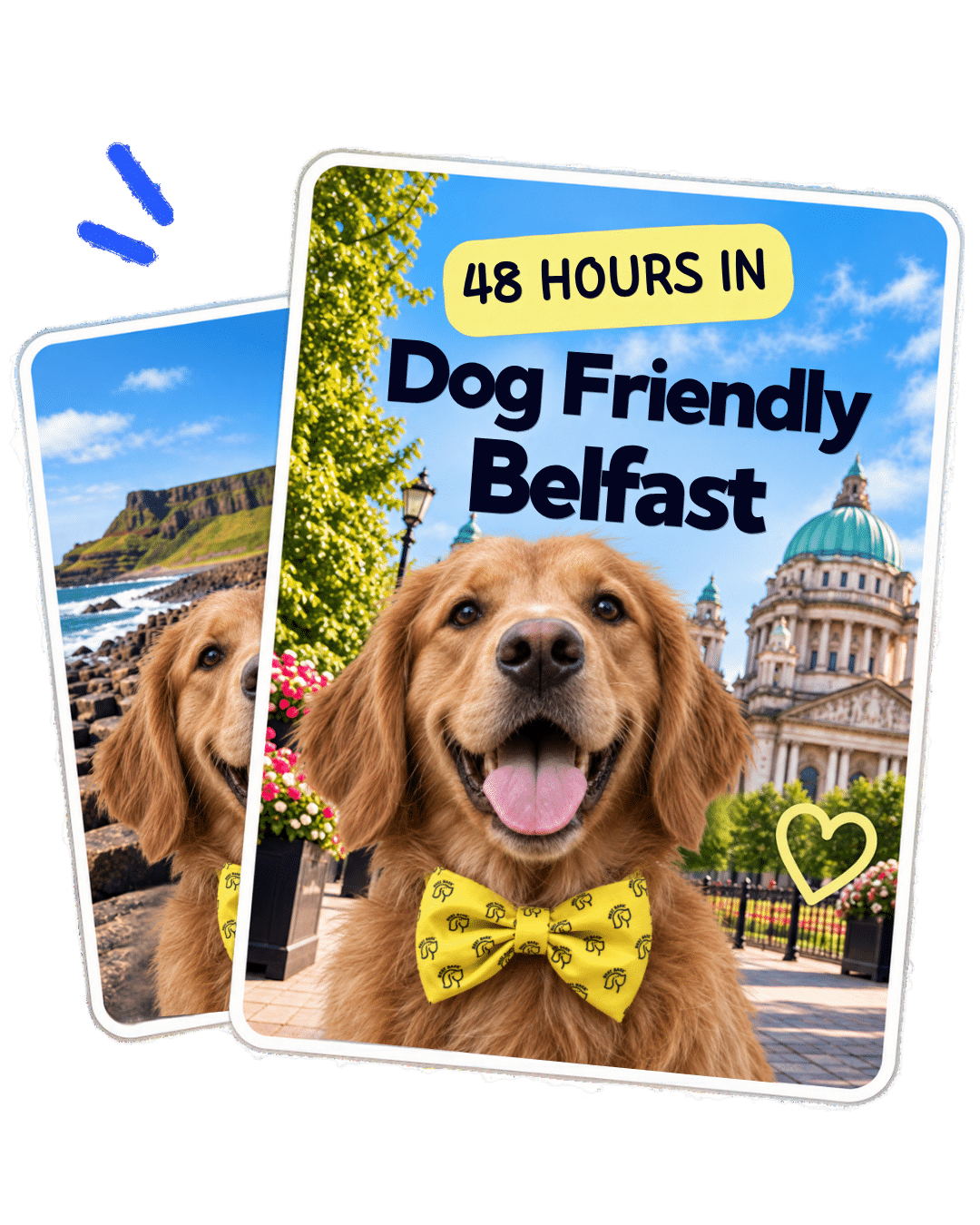 Dog friendly itinerary content