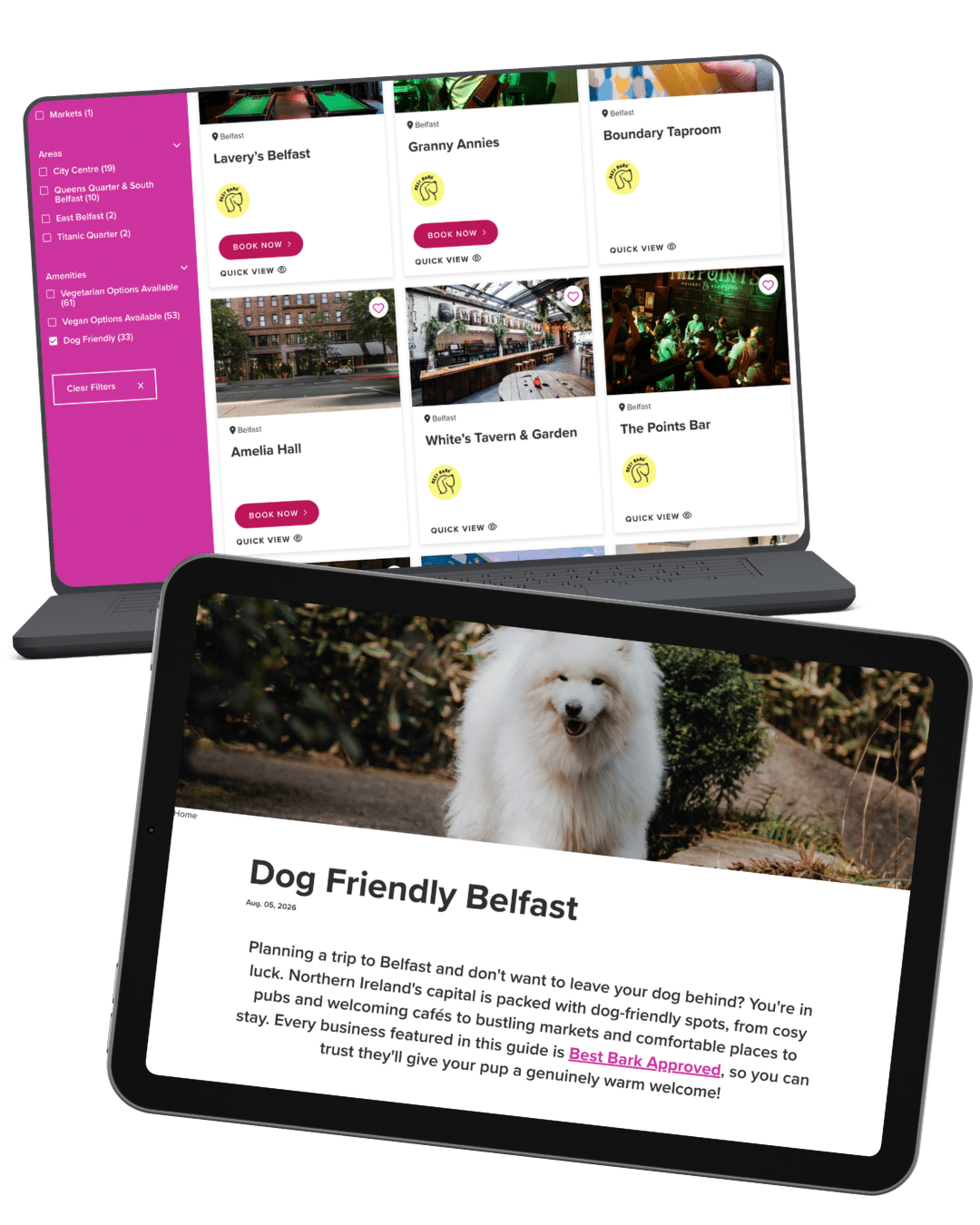 Visit Belfast website dog friendly discovery