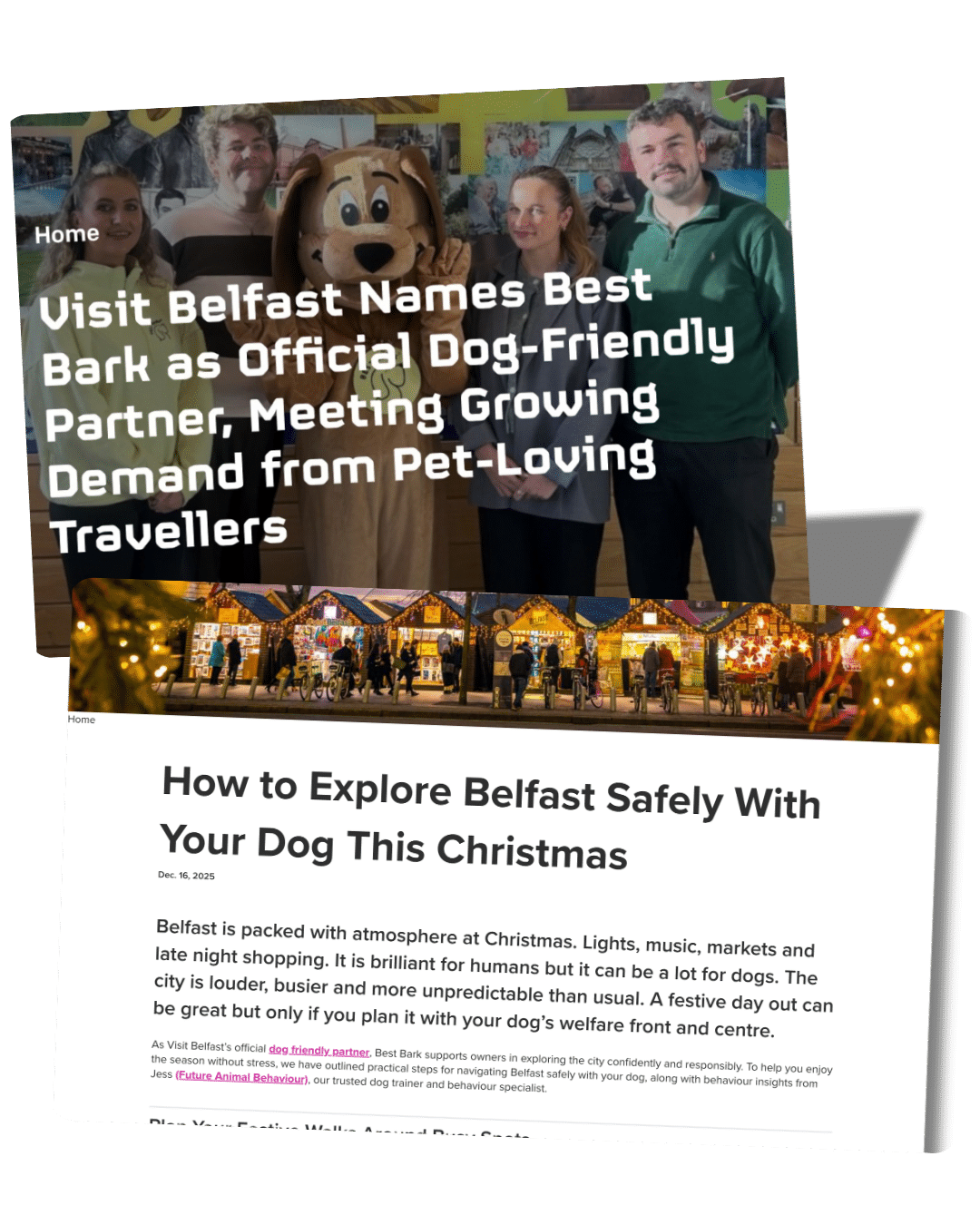Visit Belfast dog friendly guides and partnership content