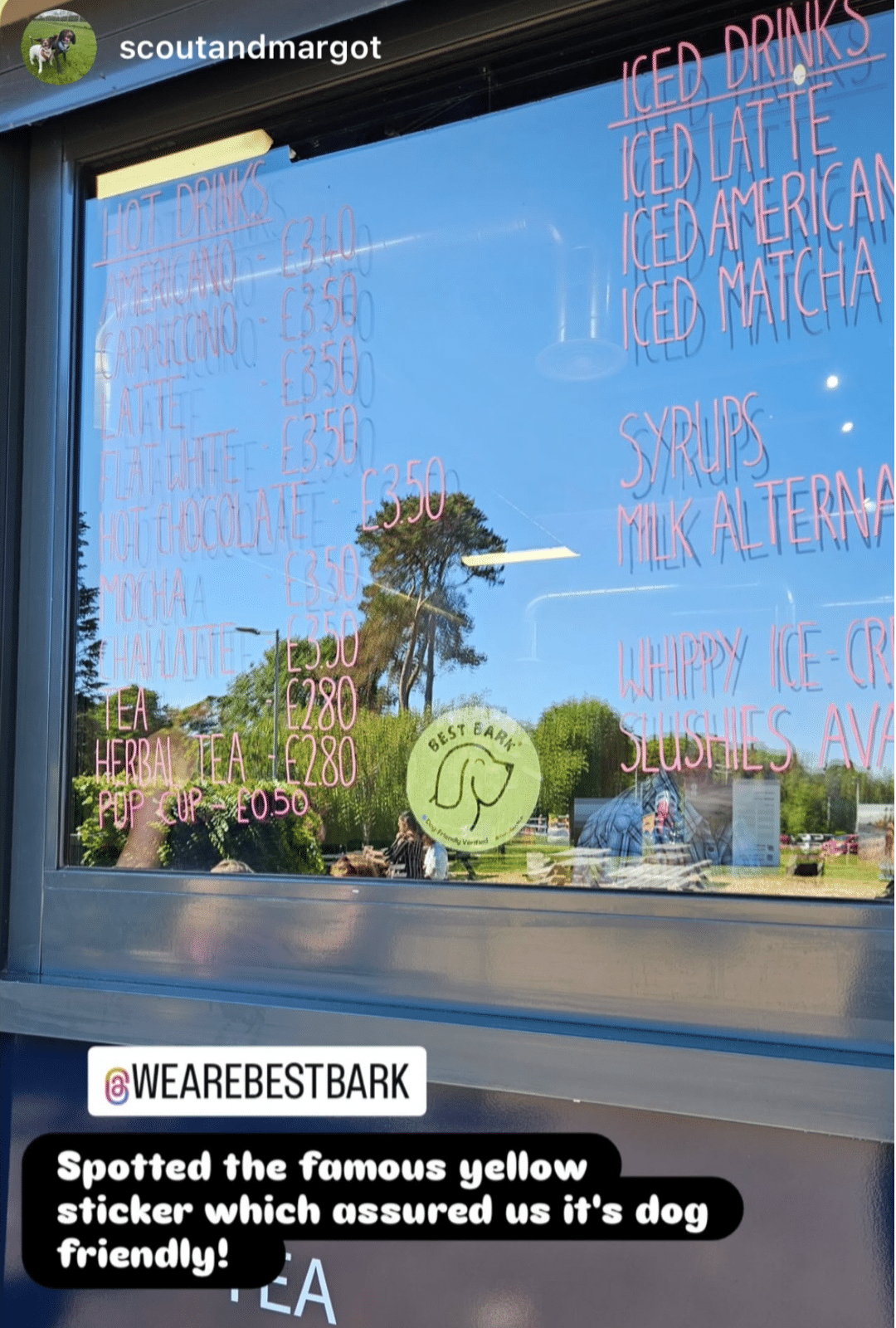 Best Bark community member spotting a Dog Friendly Verified decal