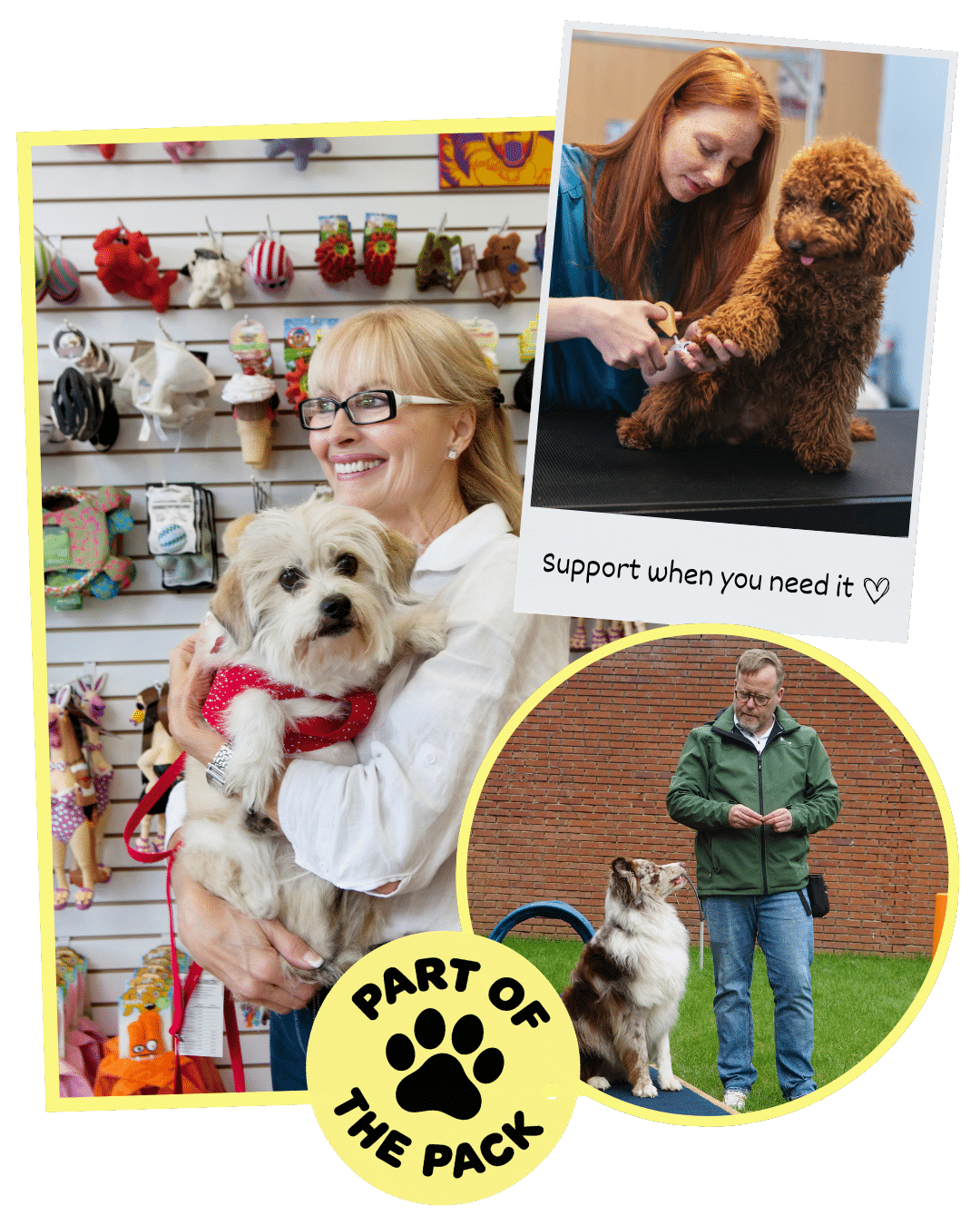 Independent dog businesses on Best Bark