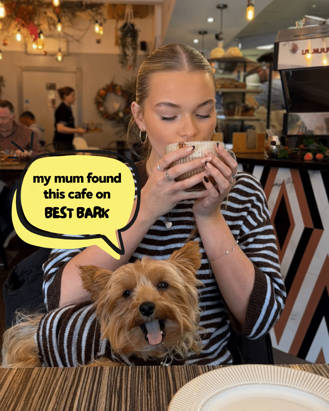 Dog friendly business discovered through Best Bark