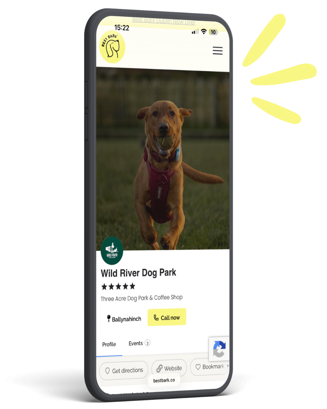 Example Best Bark Doggy Business listing