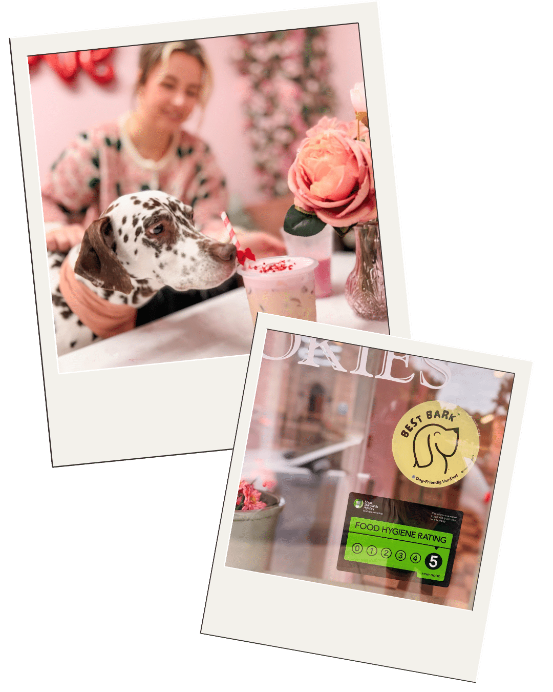 Pawfect Paws Dog Café testimonial image